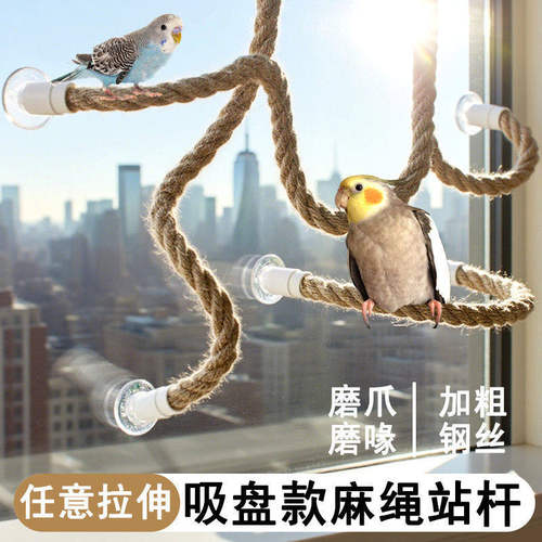 吸盘站杆麻绳鹦鹉站杠棍架子玄凤虎皮鸟用窗户玻璃车载攀爬啃咬架