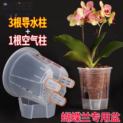 新款透明蝴蝶兰专用花盆大口径拼组单株水苔青山盆透气控根高级感