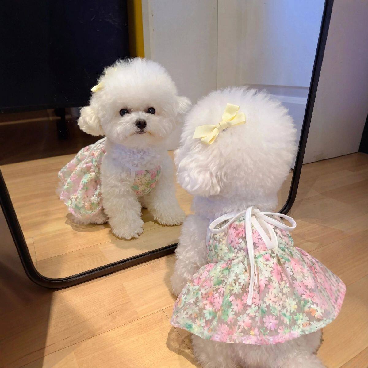 宠物狗狗夏季樱花连身裙吊带裙子猫咪小型犬泰迪博美公主裙网纱裙