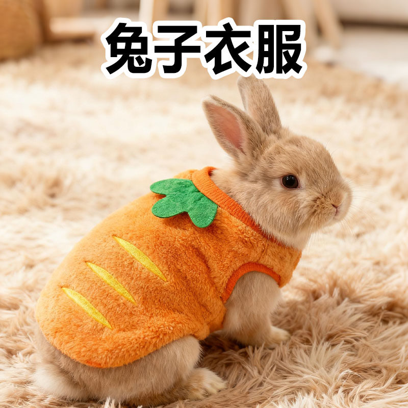 宠物兔子衣服专用侏儒外出可爱冬天保暖装扮小型拍照冬装背心用品