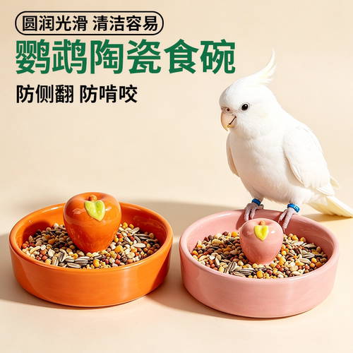 鹦鹉防打翻喂食器防撒漏食盆陶瓷碗玄凤牡丹小太阳幼鸟学吃配件