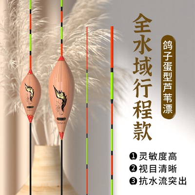 入海流鸽子蛋带壳芦苇浮漂行程鱼漂抗走水黑坑加粗醒目翘嘴草鱼漂