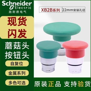 R3C 施耐德蘑菇头按钮头自复位ZB2BC3C绿色启动开关头部ZB2BC4C红