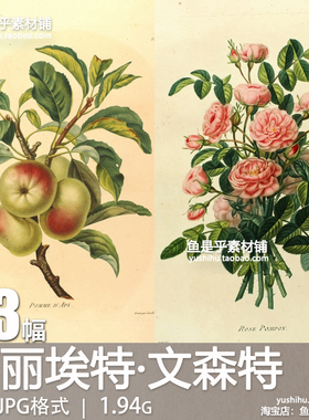 亨丽埃特文森特Henriette Vincent法国植物花卉插画电子图片素材
