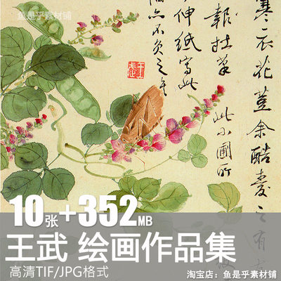 王武绘画合集国画设色花卉花鸟虫草临摹高清电子版风景图片素材