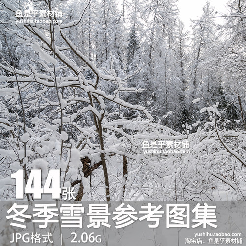 冬季森林参考图片集美术实场景摄影绘画美工艺术设计临摹电子素材