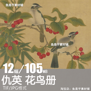 明 仇英 花鸟册12幅复古插画中式手绘工笔花鸟花卉电子版图片素材