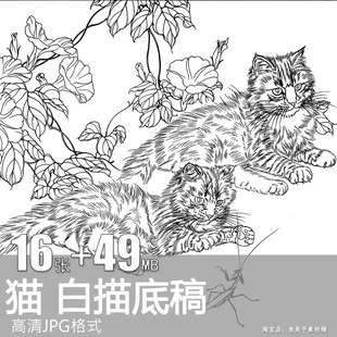 猫工笔画线描稿白描底稿工笔猫创作素材动物速写高清大图电子版
