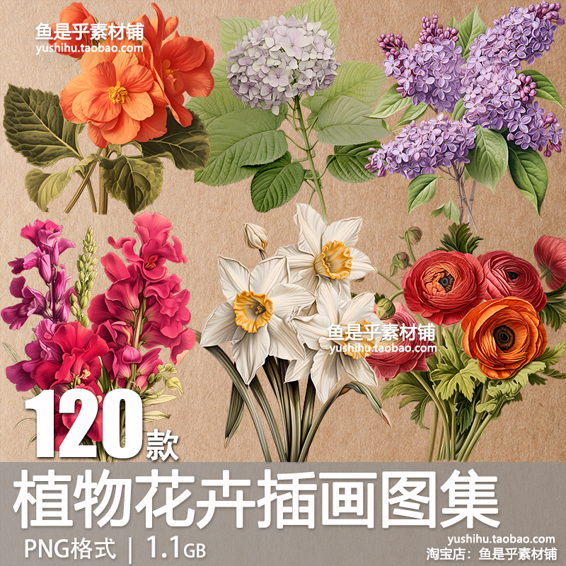 复古手绘植物花卉插画集剪贴画手账拼贴PNG免扣图片电子设计素材