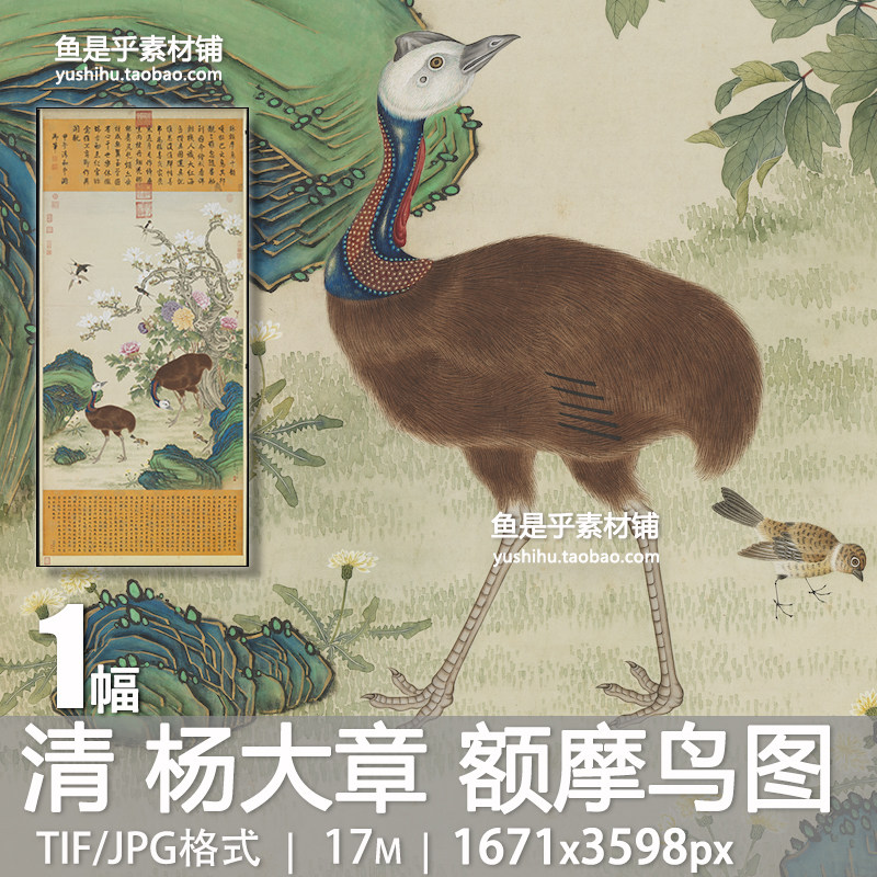 清杨大章画额摩鸟图轴清朝古代花鸟工笔绘画参考临摹电子图片素材,商务/设计服务,设计素材/源文件,淘宝优惠券,粉丝福利购,淘宝优惠卷