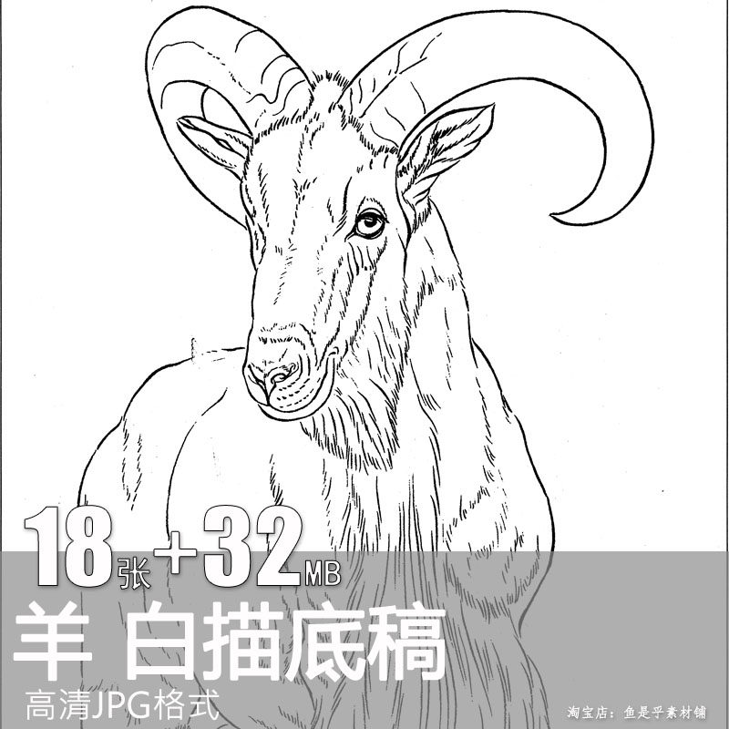 羊动物工笔画线描稿白描底稿工笔羊创作素材速写高清大图电子版