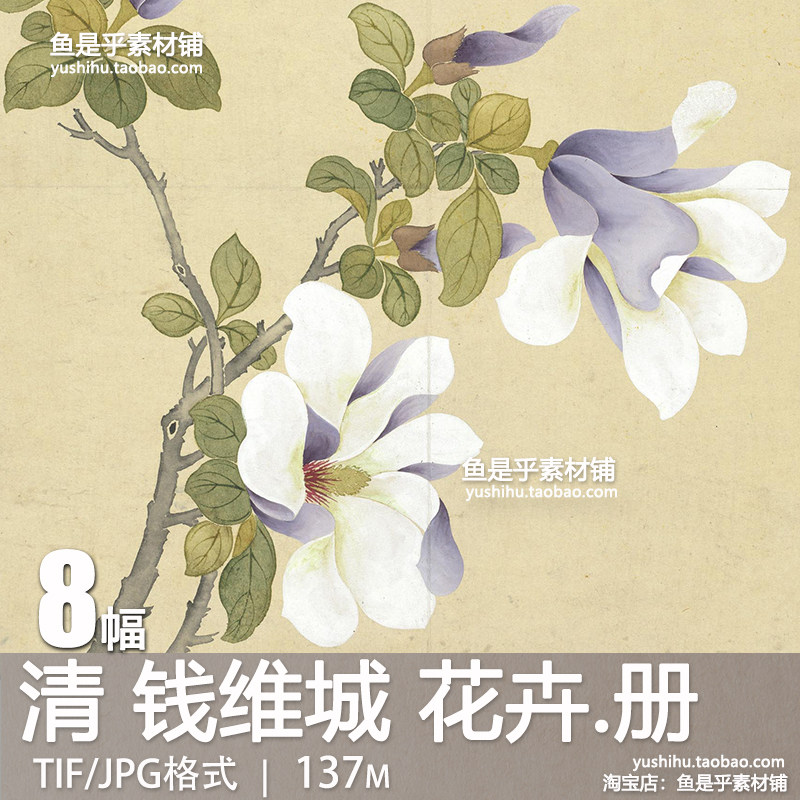 清钱维城花卉册古代画花卉图册工笔没骨国画绘画参考电子图片素材,商务/设计服务,设计素材/源文件,淘宝优惠券,粉丝福利购,淘宝优惠卷