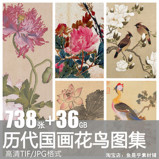 历代国画花鸟册页写意高清图片水墨工笔花鸟动植物花卉电子素材