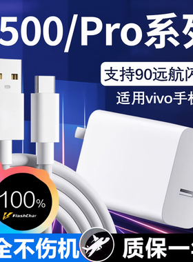 适用VIVOY500充电器超级闪充vivoy500充电头适用vivoY500充电头90远航闪充vivo s30闪充头加长2米Type-c线