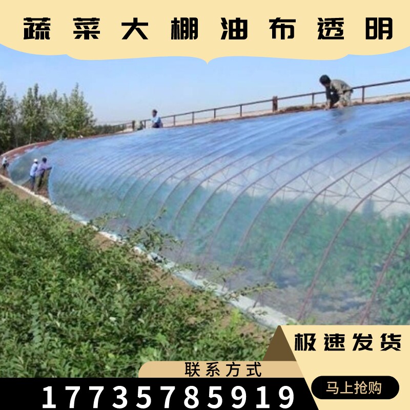 帆布暖棚防渗种菜无味蔬菜大棚油布透明蓬布薄膜透光胶膜pvc
