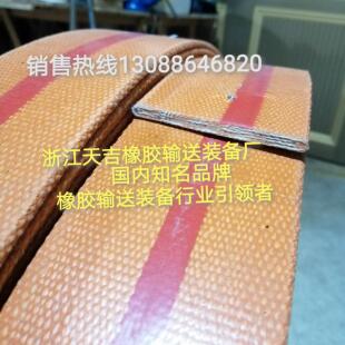 黄色传送带平胶带 面机磨米机电机传动带大米粮食斗式提升机皮带