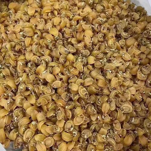 500g小鱼仔小头大连粥鲜鲍鱼干 干包粽子煲汤煲鲍海干KOI 干货煲