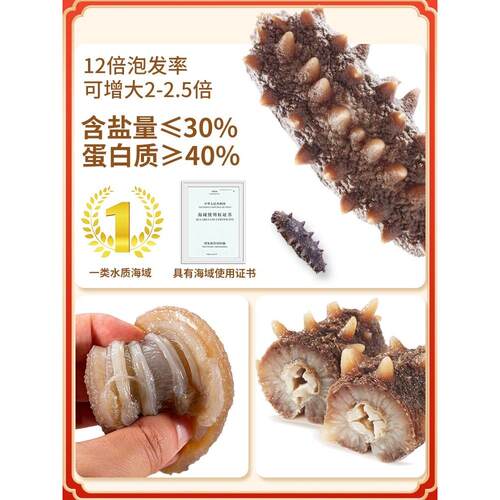 【滋补】獐子岛深海底播大连海干干海货参辽378gSPF刺参辽参礼参