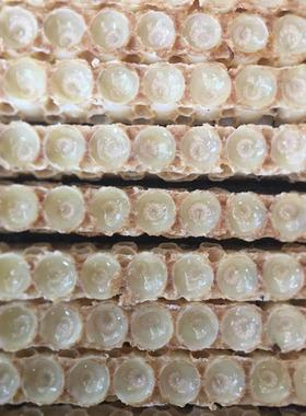 天春然蜂王浆NUD 40年养蜂之家20 25斤年春 新鲜蜂皇浆 浆 半装