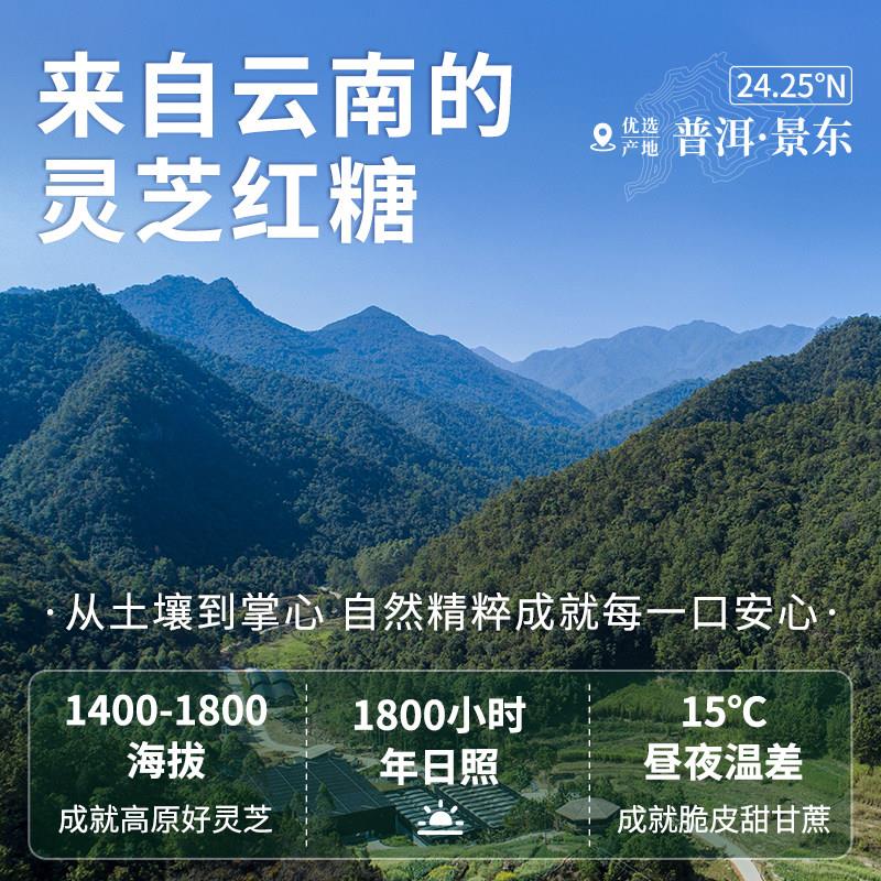 灵芝红糖】正宗云南古法熬检制PCQSS测O农G残【防腐剂云景天芝正