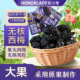 韵小膳进口大西梅干蜜饯果干孕妇解馋零食孕期酸味无核果脯小袋装