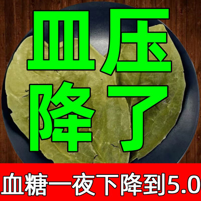 柿子叶中药材500克新鲜干货