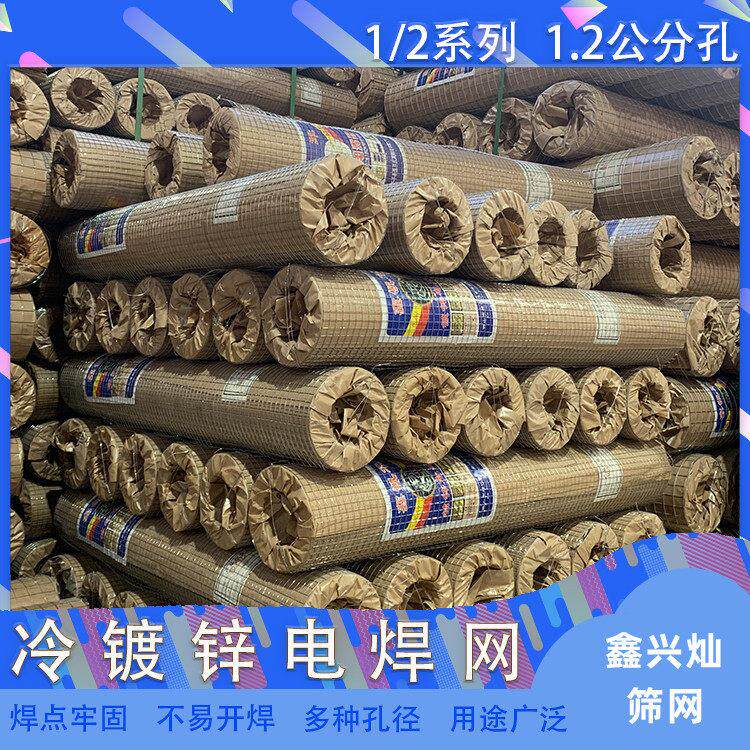 现货热镀锌铁丝网围栏养殖网电焊钢丝网阳台防护栏防鼠网片网格