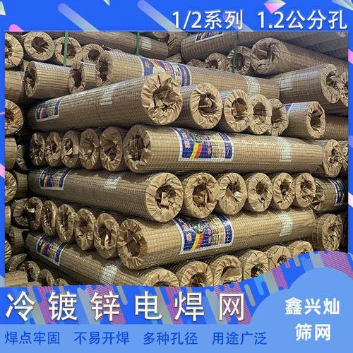现货热镀锌铁丝网围栏养殖网电焊钢丝网阳台防护栏防鼠网片网格
