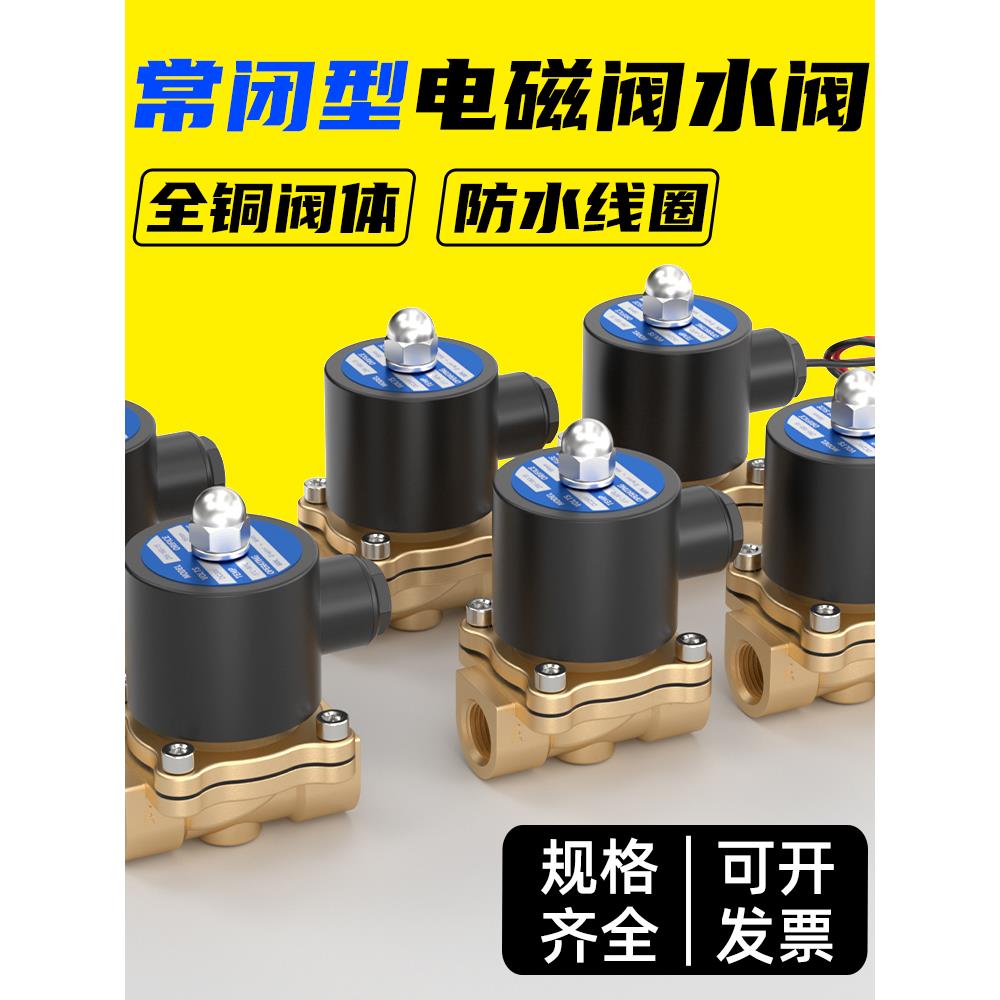 2W025常闭电磁阀水阀气阀220V铜开关阀2分4分6分1寸放水控制阀24V