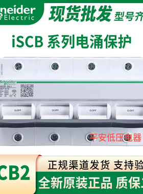 施耐德系列浪涌后备保护装置电涌iSCB1 25L2 4P 3P NH 20406580KA