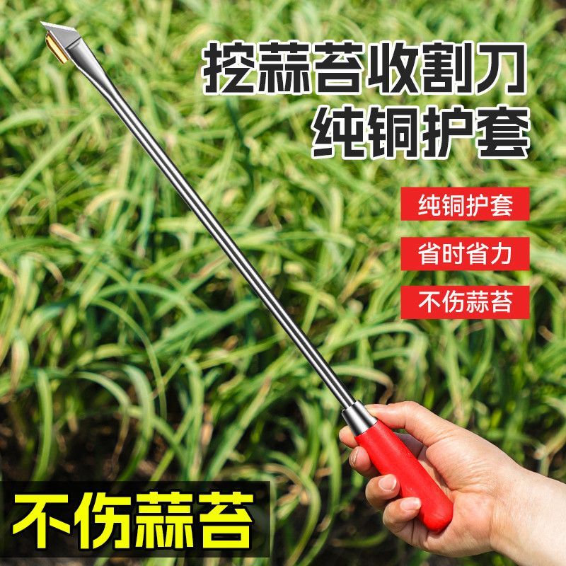 抽蒜苔剥蒜苔神器打蒜台的工具划蒜苔快速拔剔蒜薹提摘蒜苔收割刀