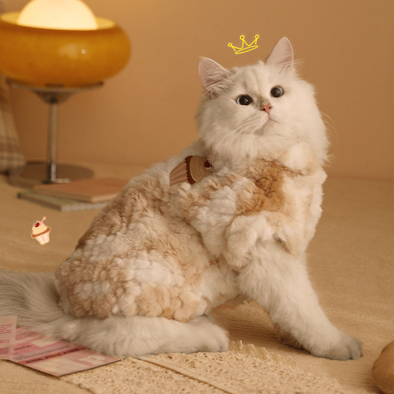猫咪衣服冬季布偶猫冬装幼猫防掉毛宠物小猫冬天保暖加厚猫猫秋冬