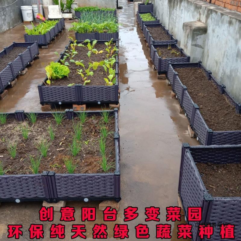 种菜箱生产种植箱阳台蔬菜种植塑料长方形盆专用菜盆特大花