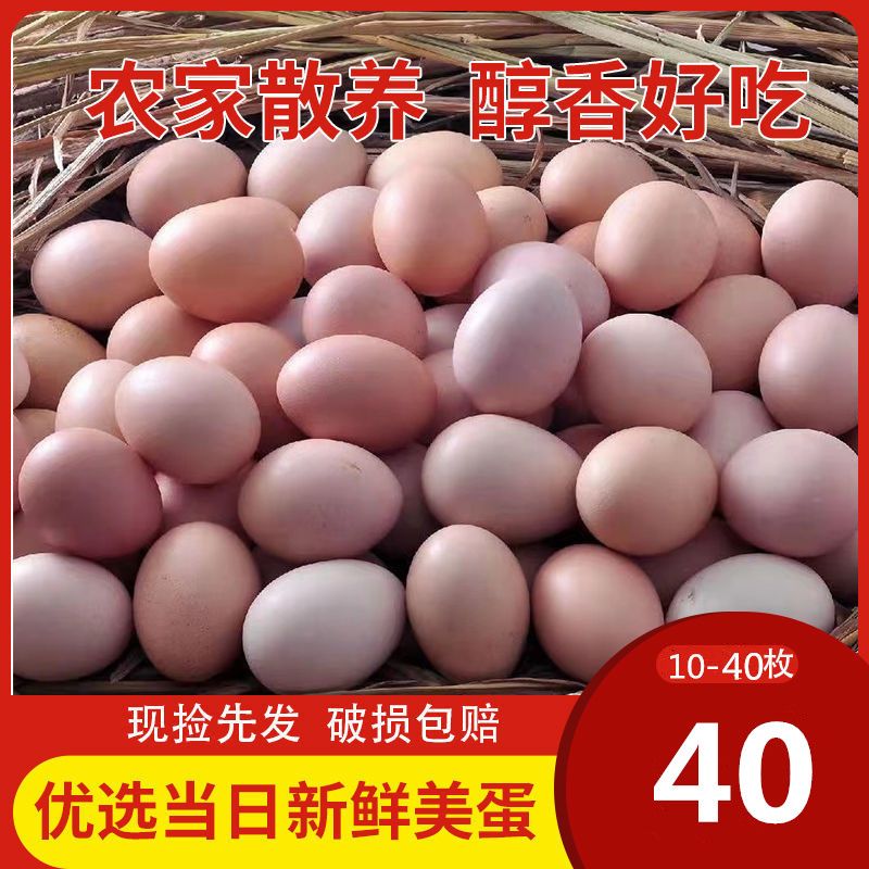40枚正宗土鸡蛋散养农村10枚新鲜笨鸡蛋当日鲜蛋草鸡蛋整箱包邮