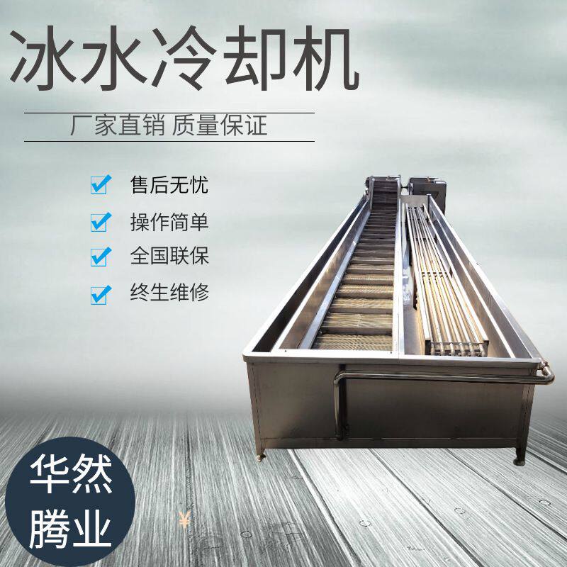 厂家生产速冻食品包冰机 网带式速冻挂冰机 鱼类挂冰设备