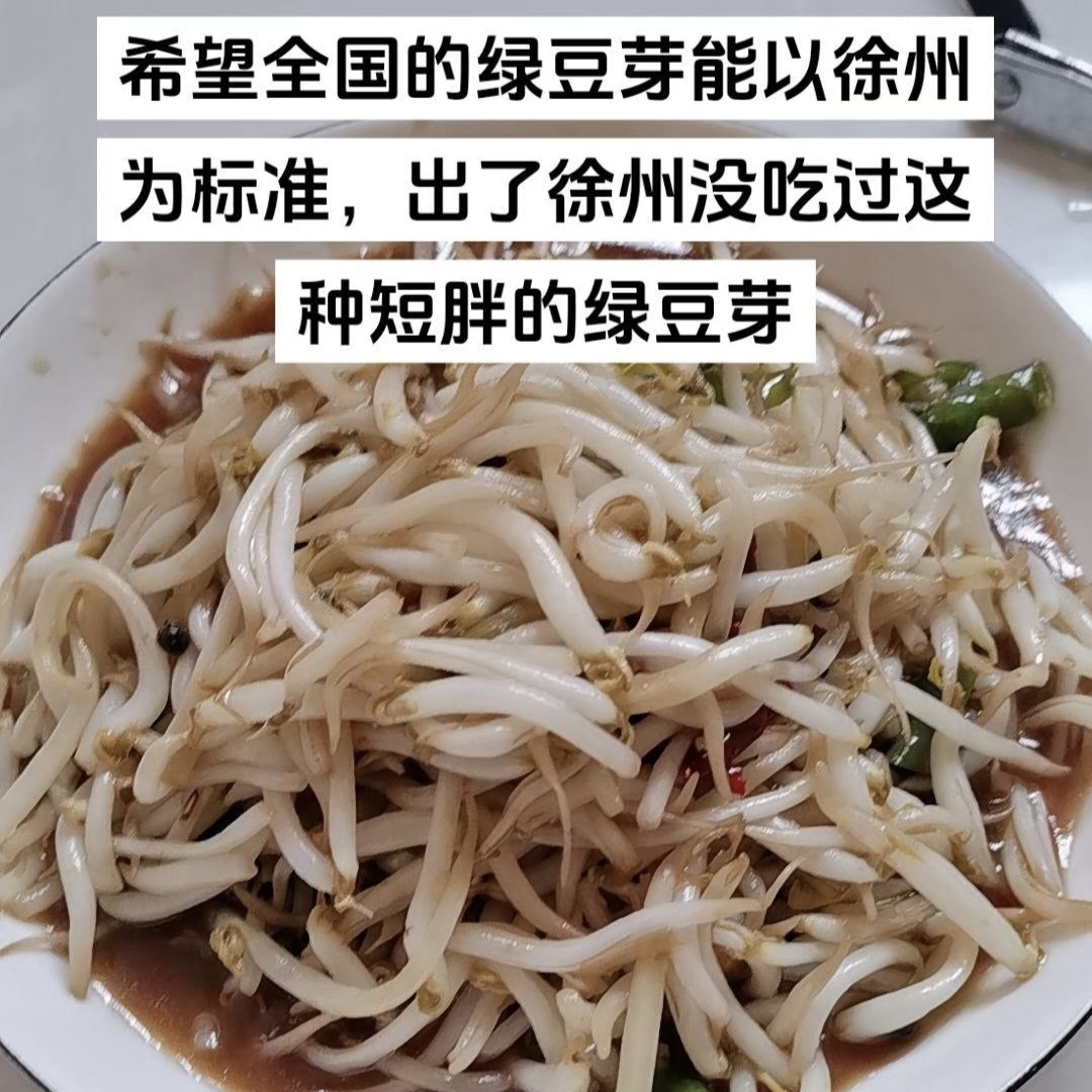 【顺丰上门】徐州特产胖豆芽绿豆芽新鲜现发饭店商用蔬菜批发代购