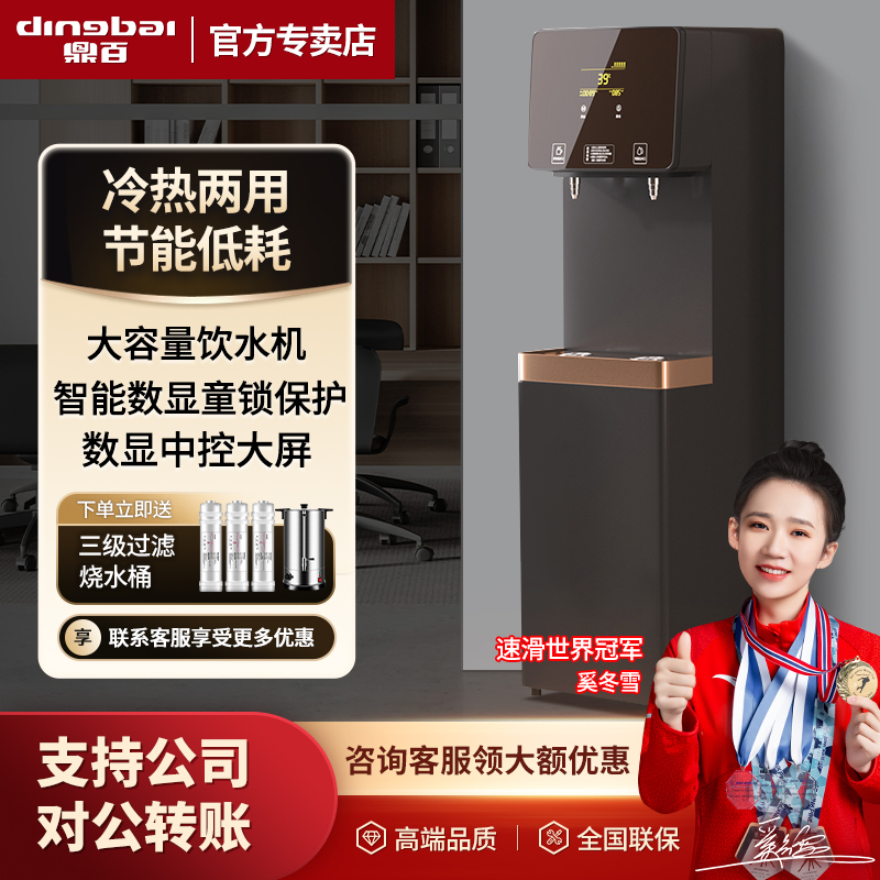 鼎百商用开水机大容量学校工厂用即热饮水机立式电热烧水器净水机