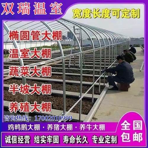 镀锌管大棚钢管骨架椭圆管种植多肉蔬菜养猪养羊大棚钢架温室养殖