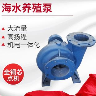 污水循环泵 混流泵 大功率单级单吸蜗壳式 工业高扬程海水养殖泵