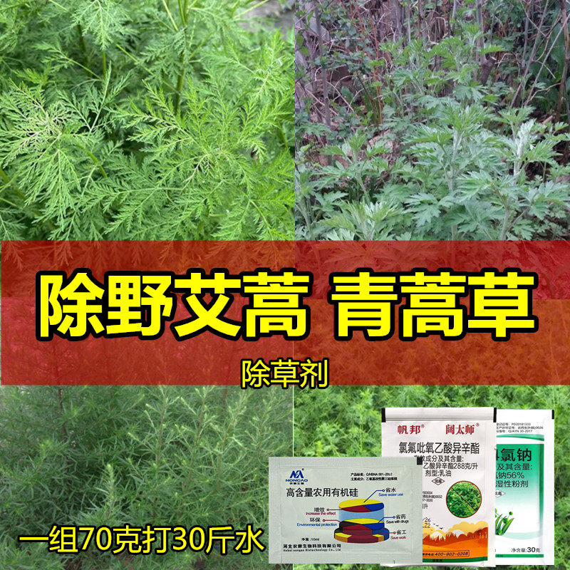 除青蒿除草剂蒿草药青蒿草野艾蒿用什么药臭蒿子除草剂专杀阔叶草