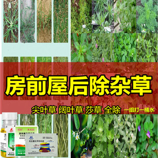 房前屋后除杂草除灌木藤类除草剂开荒除草剂除杂草烂根药除草烂根