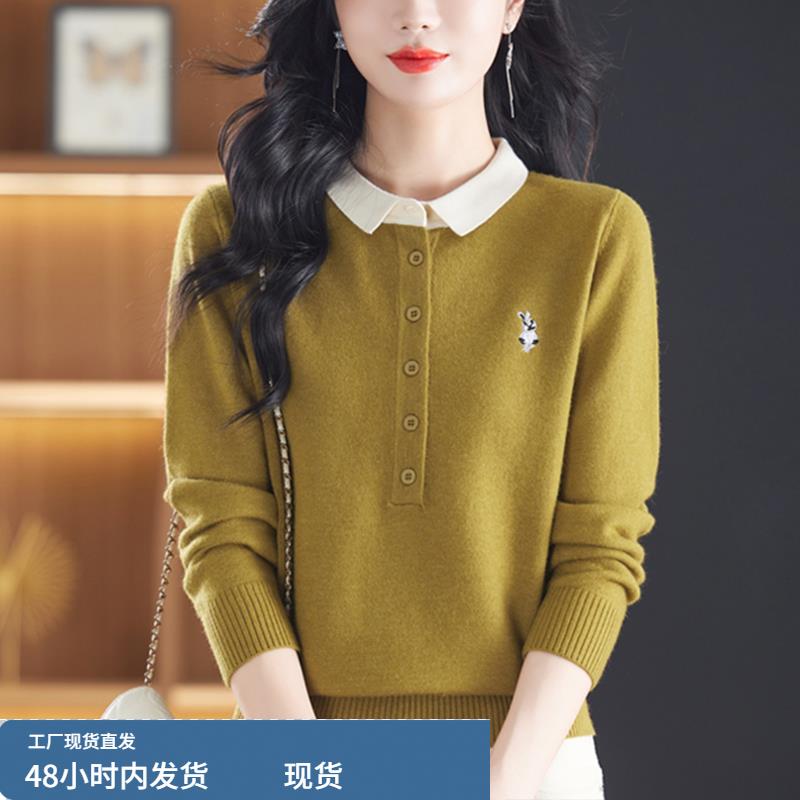 羊绒衫女早秋新款高级感简约休闲遮肉显瘦百搭气质Polo领针织毛衣