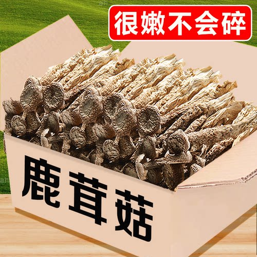 净重新货鹿茸菇干货500g鹿茸菌非特级野生脆脆菇蘑菇干煲汤干锅