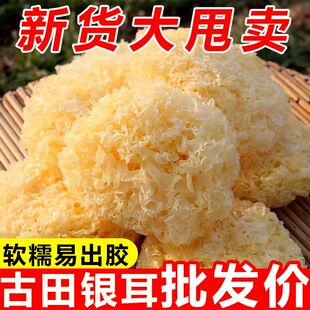 椴木小银耳干货非特级无熏硫白木耳软糯易出胶古田农家特产多胶质