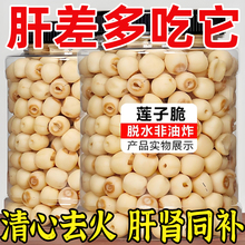 即食莲子脆原味罐装香酥脆莲子干去芯无芯脱水果蔬菜干新货小零食