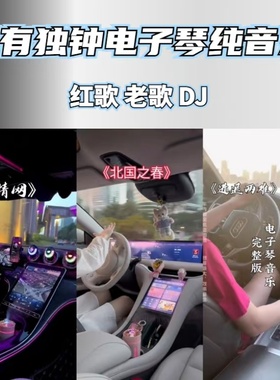 琴有独钟车载电子琴纯音乐老歌红歌dj优盘怀旧电子琴u盘内存卡CD