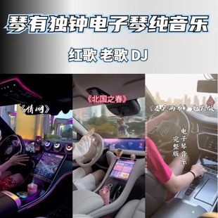 琴有独钟车载电子琴纯音乐老歌红歌dj优盘怀旧电子琴u盘内存卡CD