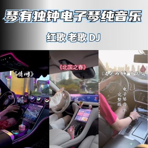 琴有独钟车载电子琴纯音乐老歌红歌dj优盘怀旧电子琴u盘内存卡CD