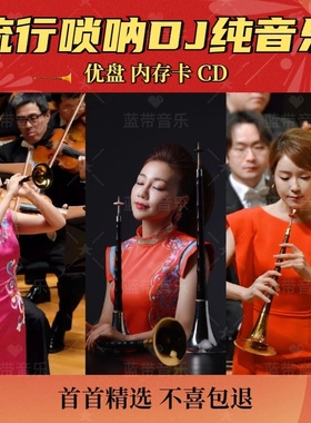 车载流行唢呐DJ纯音乐优盘欢快重低音唢呐DJ流行音乐优盘内存卡CD
