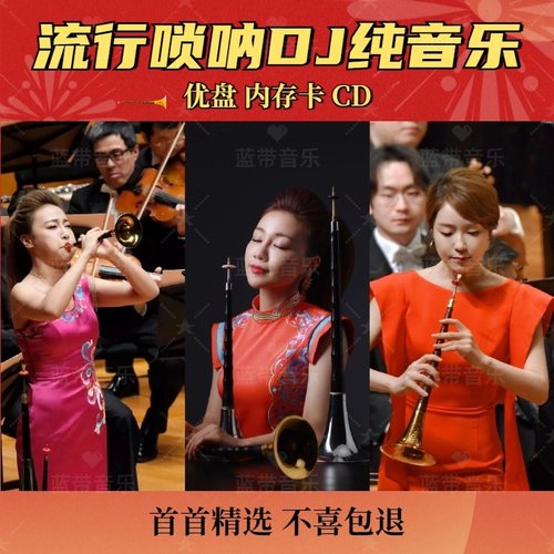 车载流行唢呐DJ纯音乐优盘欢快重低音唢呐DJ流行音乐优盘内存卡